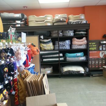 Unleashed by Petco - Pet Training Near Me - Oakland, California