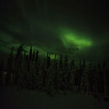 Borealis Basecamp - Aurora - Hotels Near Me - Fairbanks, Alaska