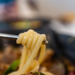 7 Noodles & Sizzling - Udon Noodles