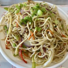 Veg Hakka Noodles