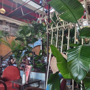 Fandi Mata - A view of the dinning room - Mediterranean Near Me - Brooklyn, New York