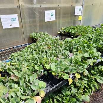 Gresczyk Farms - Nurseries & Gardening Near Me - New Hartford, Connecticut