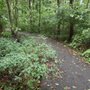 Photo of Talley Day Park