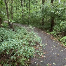 Talley Day Park - Path through the woods