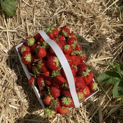 Deeply Rooted Farms