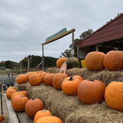 Page Farms