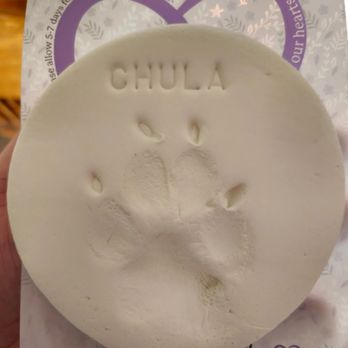 Lap of Love - The paw imprint that was included with service. - Veterinarians Near Me Lap of Love - The paw imprint that was included with service. - Veterinarians Near Me