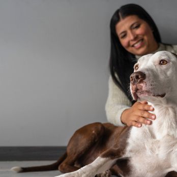 Pawdarling - Pet Insurance Near Me - Beverly Hills, California Pawdarling - Pet Insurance Near Me - Beverly Hills, California