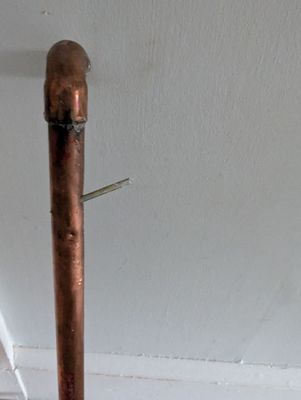 Paradise Plumbing & Heating Service Logo