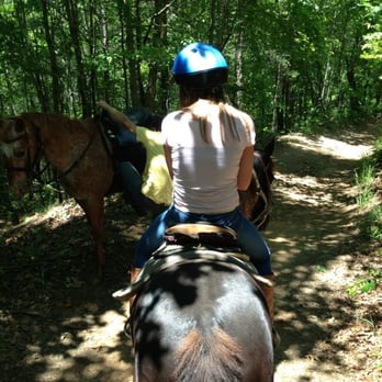 A Step Above Stables - Horseback Riding Near Me - Blairsville, Georgia