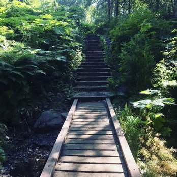 Lazy Mountain Trail Head - Hiking Near Me - Palmer, Alaska