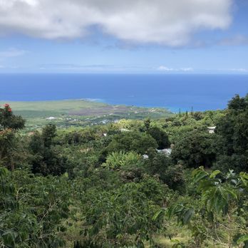 The Coffee Shack - Great view from the The Coffee Shack!! - Coffee & Tea Near Me - Captain Cook, Hawaii