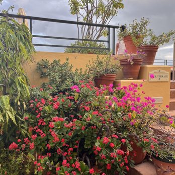 Hotel El Convento - Hotels Near Me - Old San Juan, Puerto Rico