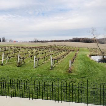 Barrel Head Winery - Vines - Wineries Near Me - Dubuque, Iowa