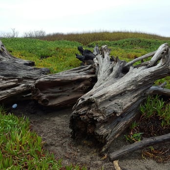 Glass Beach - Beaches Near Me Glass Beach - Beaches Near Me