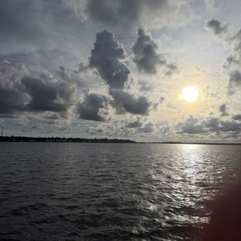 Cetacean Cruises - Sailing Near Me - Orange Beach, Alabama