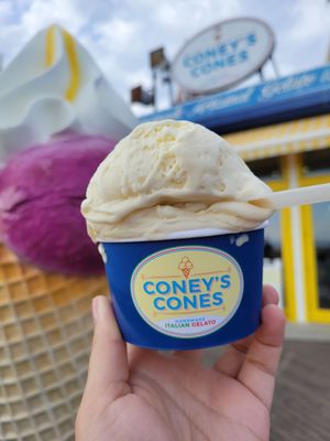Coney's Cones by null