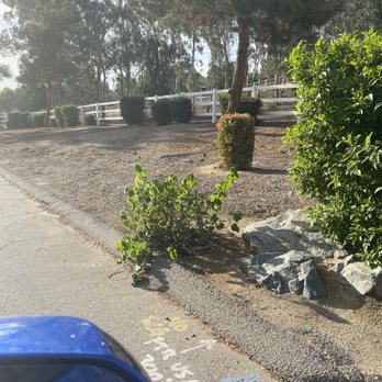 Big Bear Moving - Movers Near Me