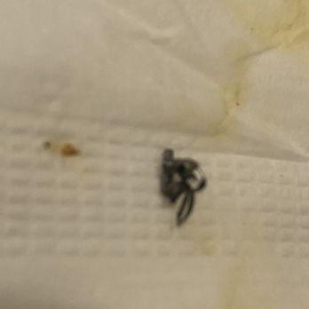 Saigon Restaurant - METAL FOUND IN MY BOYFRIENDS FOOD!!! - Vietnamese Near Me - Modesto, California Saigon Restaurant - METAL FOUND IN MY BOYFRIENDS FOOD!!! - Vietnamese Near Me - Modesto, California