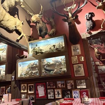 Buckhorn Exchange - Inside taxidermy animals - Steakhouses Near Me - Denver, Colorado