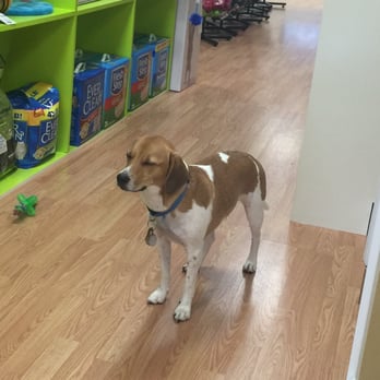 Head to Tail - Pet Stores Near Me - Cliffside Park, New Jersey Head to Tail - Pet Stores Near Me - Cliffside Park, New Jersey