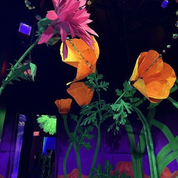 Omega Mart - Meow Wolf - Art Museums Near Me - Las Vegas, Nevada Omega Mart - Meow Wolf - Art Museums Near Me - Las Vegas, Nevada