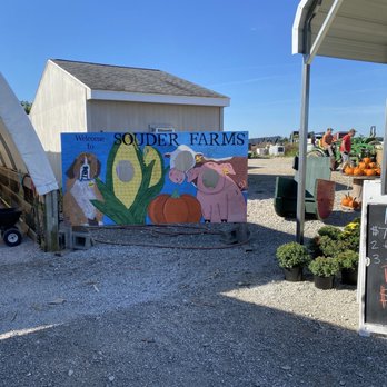 Souder Farms Sweet Corn - Farmers Market Near Me - Rushville, Indiana Souder Farms Sweet Corn - Farmers Market Near Me - Rushville, Indiana
