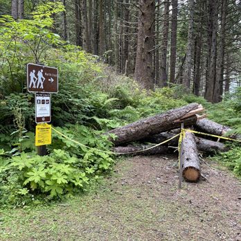 Cape Lookout State Park - North hike closed due to impassible trail - Parks Near Me - Tillamook, Oregon Cape Lookout State Park - North hike closed due to impassible trail - Parks Near Me - Tillamook, Oregon