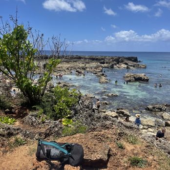 The Surf Bus - Tours Near Me - Honolulu, Hawaii