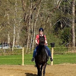 Freedom Reins Therapeutic Riding Center