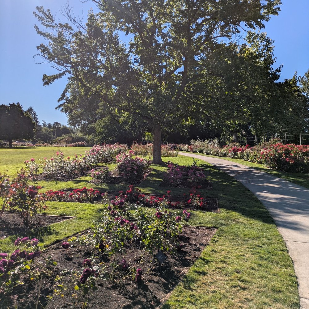 Owen Rose Garden - Parks Near Me - Eugene, Oregon Owen Rose Garden - Parks Near Me - Eugene, Oregon