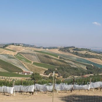 DAOU Vineyards - Beautiful scenery - Wineries Near Me - Paso Robles, California