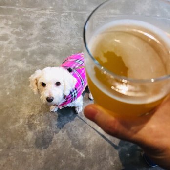 Russian River Brewing - Lychee loves beer - Brewpubs Near Me - Windsor, California