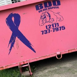 Big Dog Disposal - Call for a bin today
