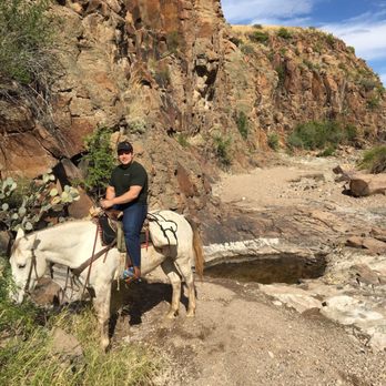 Lajitas Stables - Shrek - Horseback Riding Near Me Lajitas Stables - Shrek - Horseback Riding Near Me