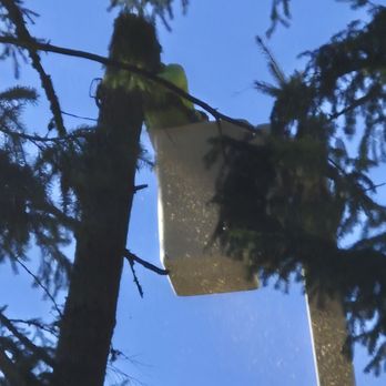 M&M Tree Service - Tree Services Near Me M&M Tree Service - Tree Services Near Me