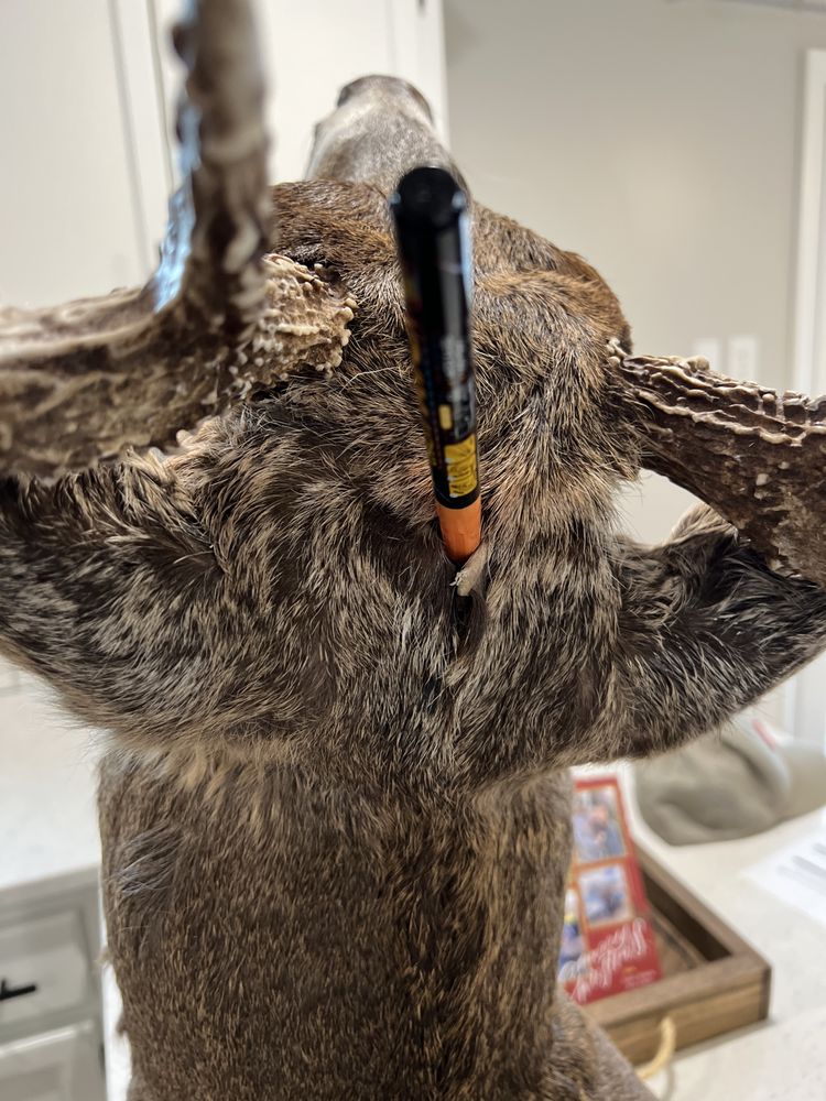 Frys Wildlife Creations - taxidermy in Muncy, PA