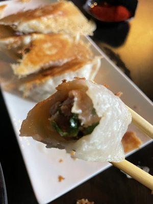 Tasty Dumplings by null