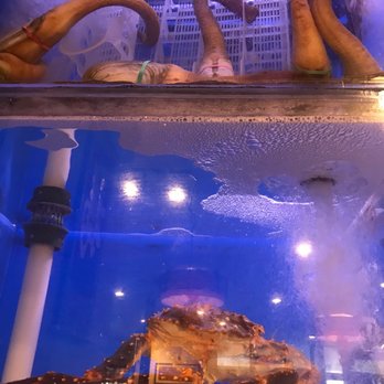 Dim Sum King - Geoduck - Dim Sum Near Me - Daly City, California