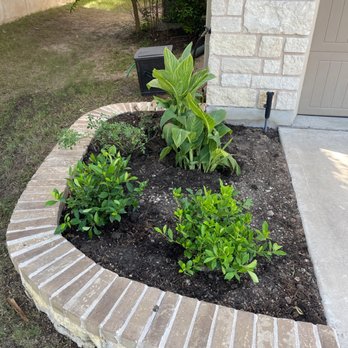 Moon Valley Nurseries - Nurseries & Gardening Near Me - Buda, Texas
