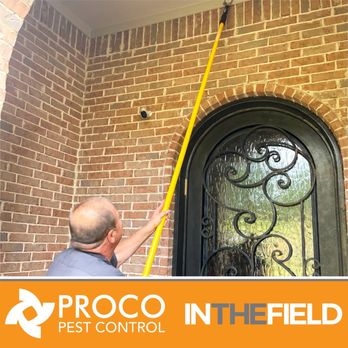 PROCO Pest Control - Pest Control Near Me - Grapevine, Texas PROCO Pest Control - Pest Control Near Me - Grapevine, Texas