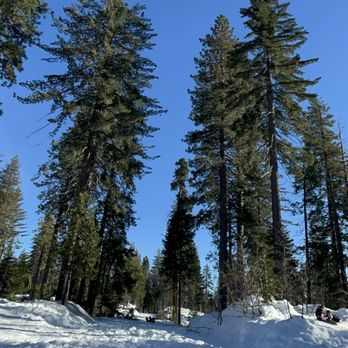 Yosemite Mountain Sugar Pine Railroad - Tours Near Me - Fish Camp, California