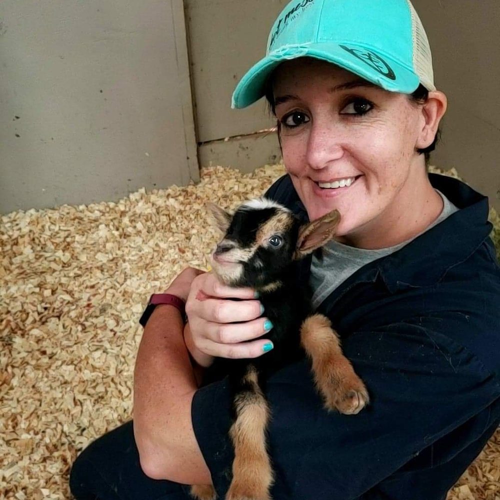 THE ARKANSAS TRAVELING GOAT FARRIER Updated October 2024 19 Photos