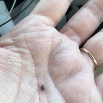 Wendy's - Metal bead in food! - Burgers Near Me - Victorville, California Wendy's - Metal bead in food! - Burgers Near Me - Victorville, California
