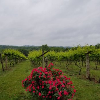 Elk Island Winery - Wineries Near Me - Goochland, Virginia