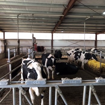 Hinchley's Dairy Farm Tours - Tours Near Me - Cambridge, Wisconsin Hinchley's Dairy Farm Tours - Tours Near Me - Cambridge, Wisconsin