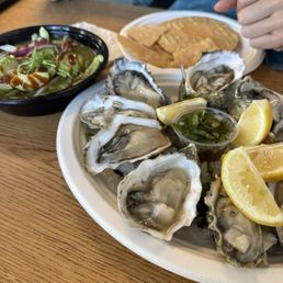 Oysters + Ceviche Oysters + Ceviche