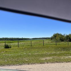 Elk Island National Park - Looking for BUFFALO .  IM SERIOUS. they Usually Sun themselves by the Road gate