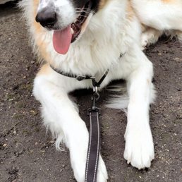 Adopted the best boy in the world.