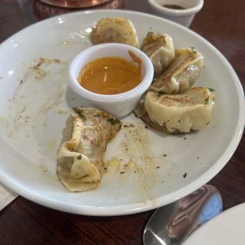 Temple Tandoor & Bar - Pan Fried chicken dumplings - Indian Near Me - Corinth, Texas